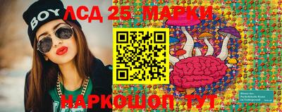 гидра Кингисепп