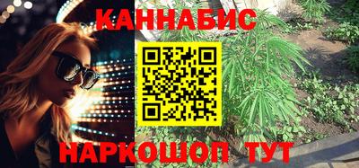 гидра Кингисепп